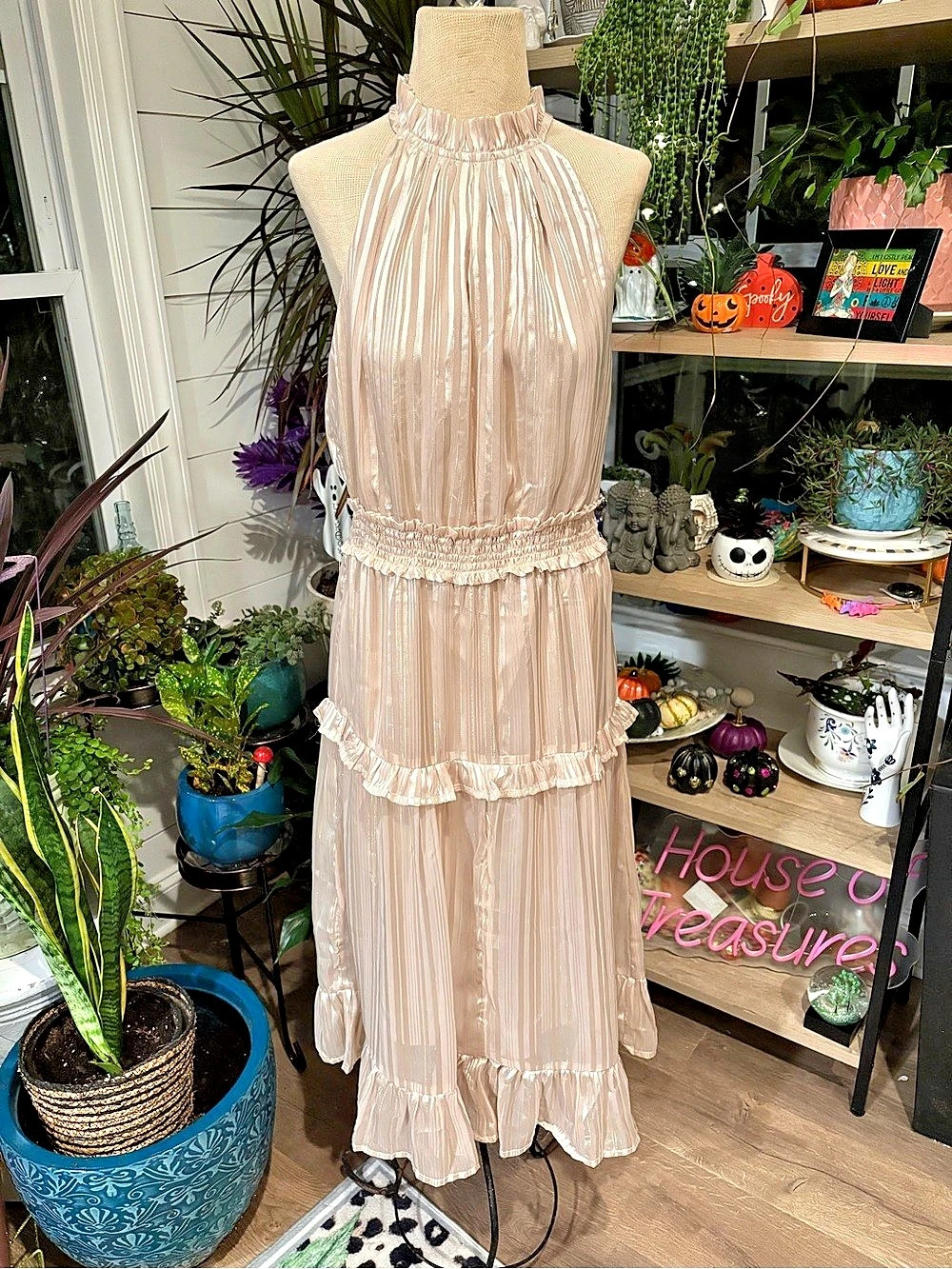 Express Pleated Ruffle Maxi Dress in Pink Size Medium Like New
